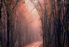 曼城惨败，欧冠强之路四分五裂！