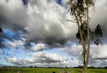 荷兰队在欧洲杯预选赛中遭遇失利