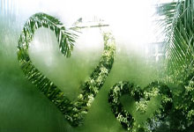 蒙彼利埃客场大胜尼斯，取得开门红